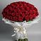 Букет 101 Красная роза Блэк Мэджик в Талой