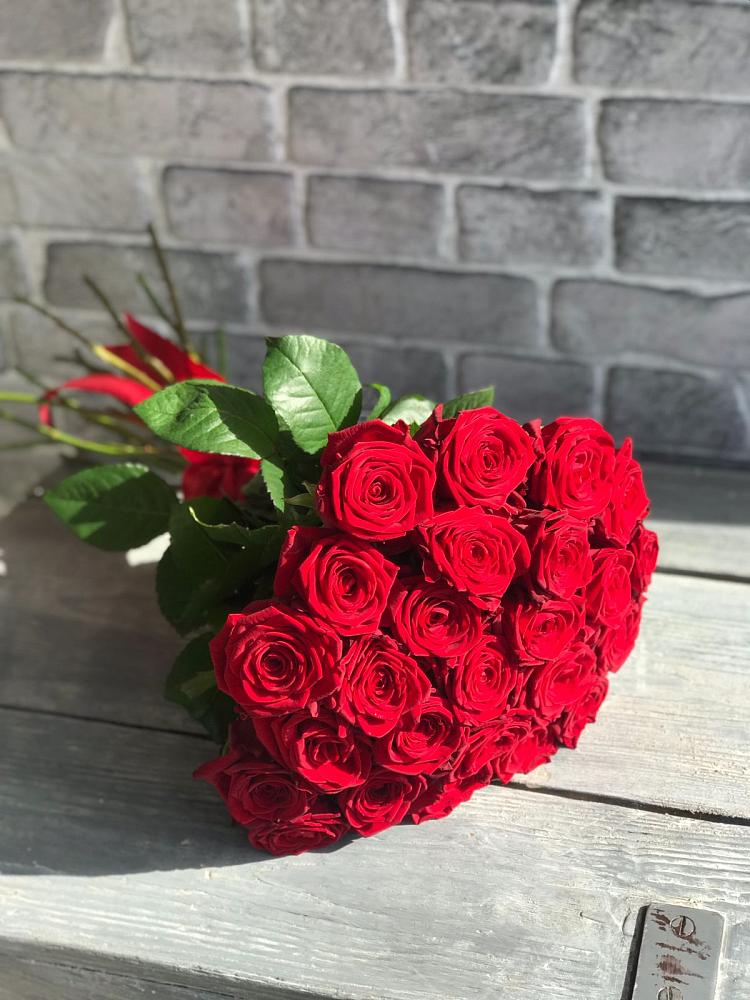 Букет Красные розы Фридом в Талой