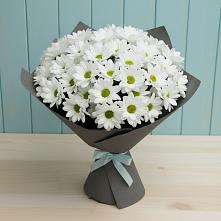 Букет цветов из:  Хризантемы #REPLACE_PRED# Талой