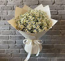 Букет цветов из:  Ромашки в Талой