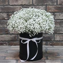 Цветочная композиция из Гипсофила в шляпной коробке в Талой
