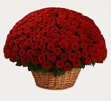 Премиум букет из: Розы в Талой